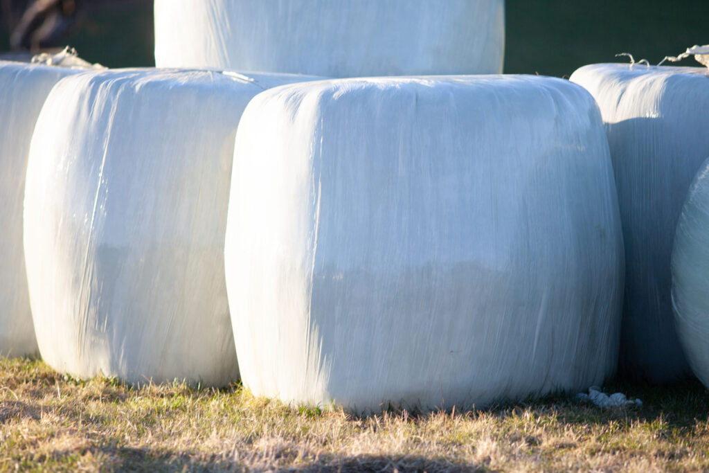 Eingewickelte Silageballen auf dem Feld – hochwertige Agrarfolien für optimalen Futterschutz.
